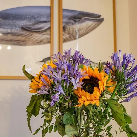 April Tatil Evi Whitby