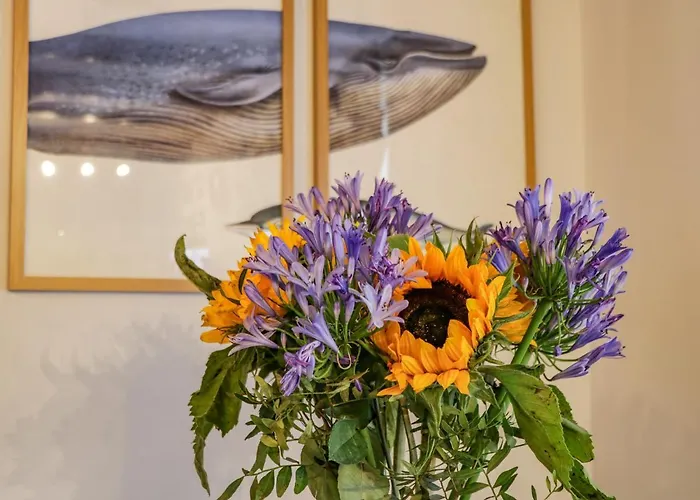 April بيت للعطل ويتبي